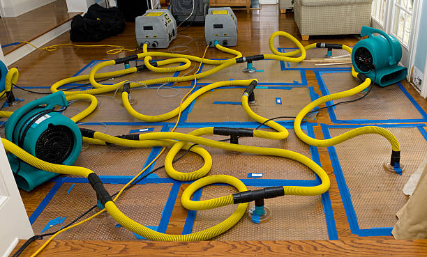 Professional Water Damage Restoration technician working in Fontana, KS